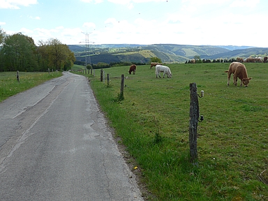 Ancienne Barrière-Est