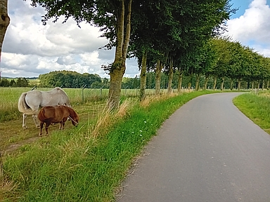 Château de Roumont-west