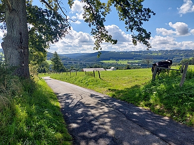 Thier de la Principauté