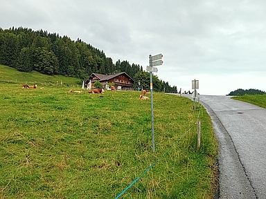 Millrütte