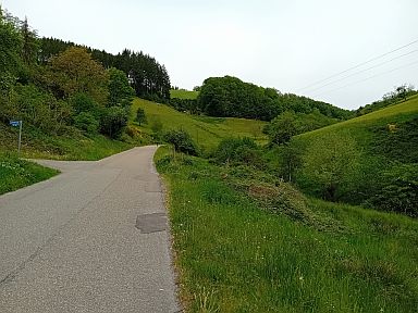 Brandenkopf-southwest