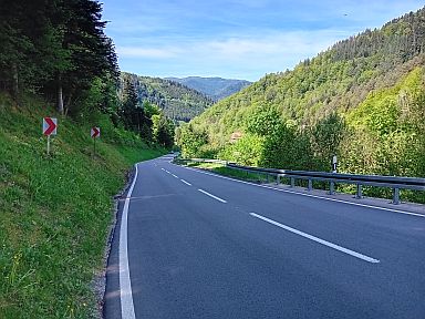Fohrenbühl-west