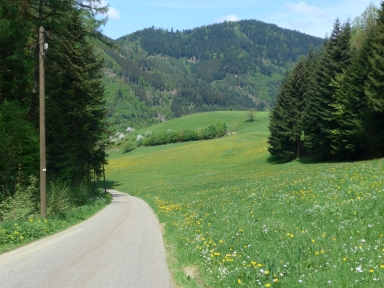 Moosenmättle-northwest