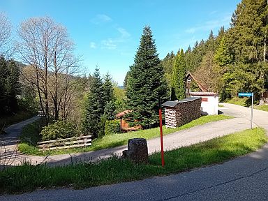 Ruhestein-northwest