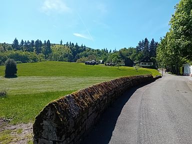 Scherrhof