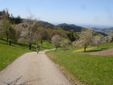 Sohlberg-northwest