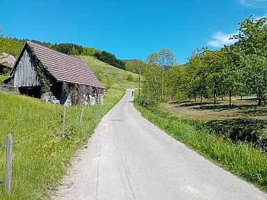Sohlberg-southwest