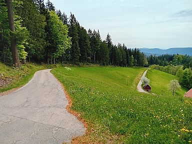 Wahlholzhütte-southwest