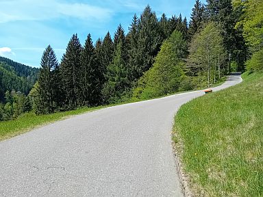 Wolfsbühl