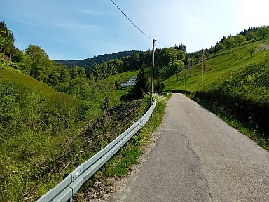 Zuflucht-southwest