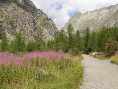 Pré de Madame Carle