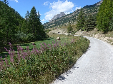 Vallée du Cristillan