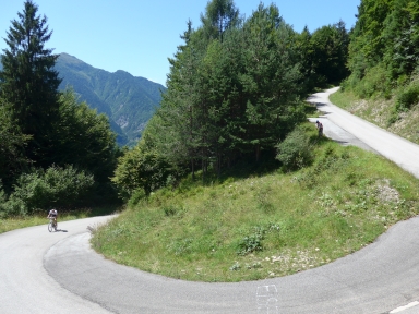 Monte Zoncolàn-West