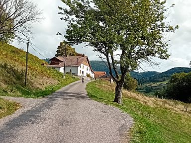 -Sud-ovest