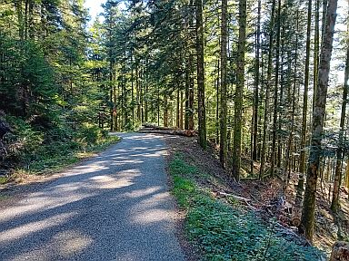 Col de Morbieux-noord